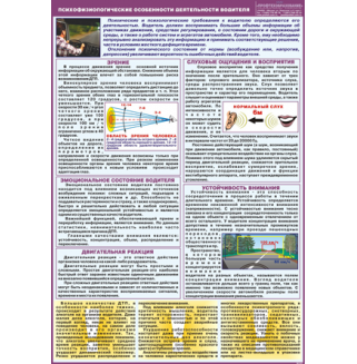 Плакат "Психофизиологические особенности деятельности водителя"